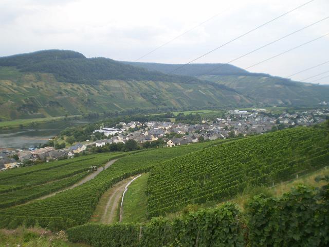 Rennschnecke Mosel 2010 126.JPG